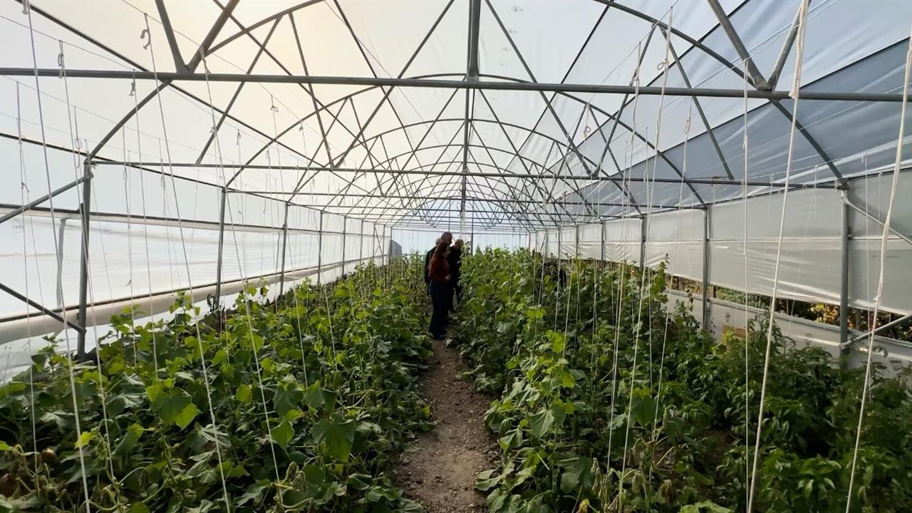 Hakkari Yüksekova'da "Köye Dönüş" Projesi ile Boşaltılan Köyler Yeniden Canlanıyor