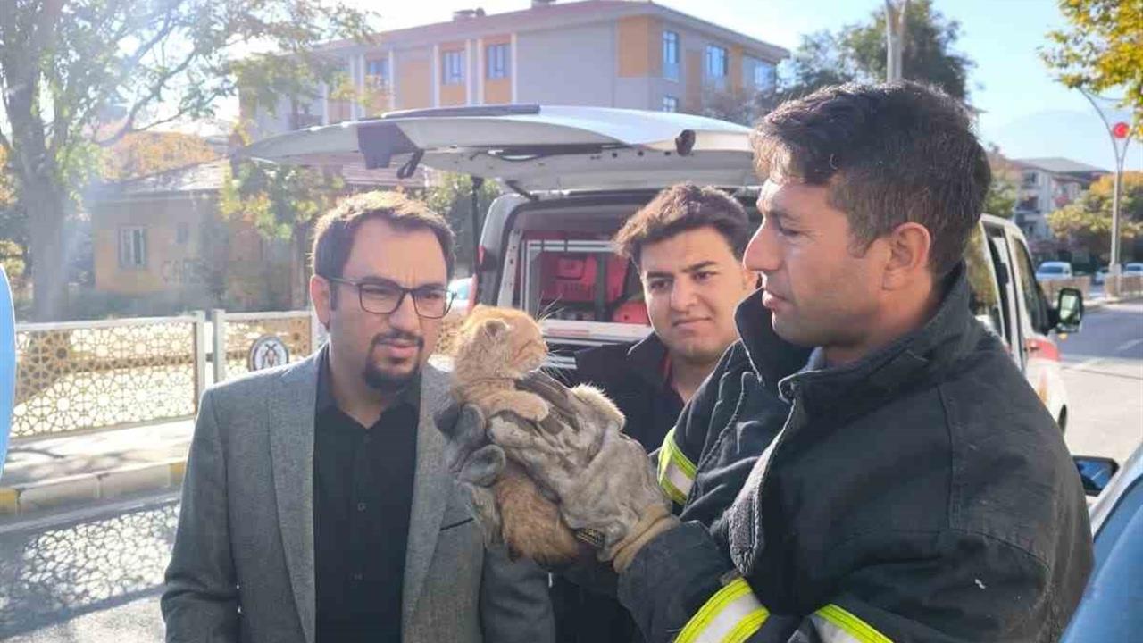 Erzincan'da Park Halindeki Aracın Motoruna Sıkışan Yavru Kedi İtfaiye Ekiplerince Kurtarıldı