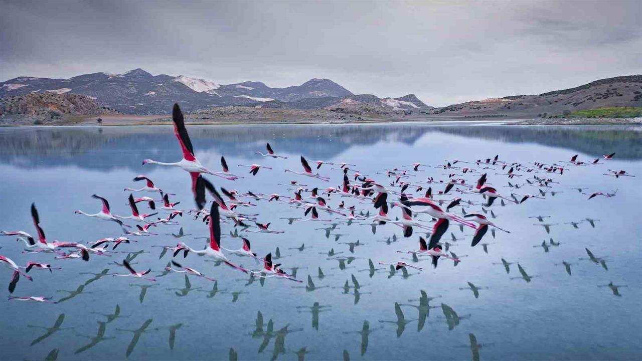 Burdur Yarışlı Köyü'nde Gölün Kuruması Tarımı Etkiledi