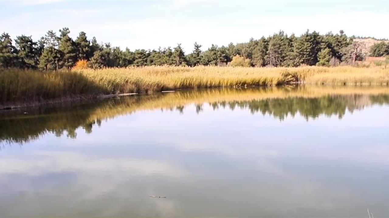 Denizli Honaz'da Doğanın Eşsiz Güzelliği Saklıgöl Hazır