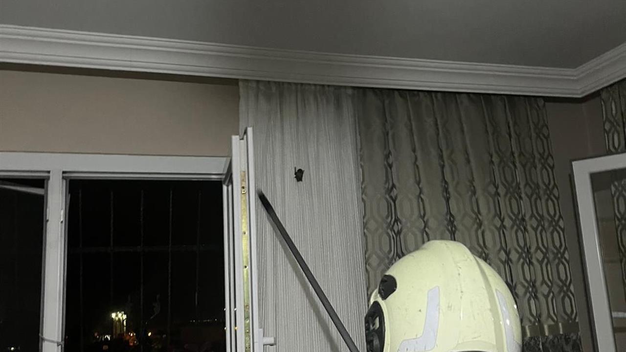 Hatay Arsuz'da Eve Giren Yarasayı İtfaiye Ekipleri Yakalayarak Doğaya Saldı