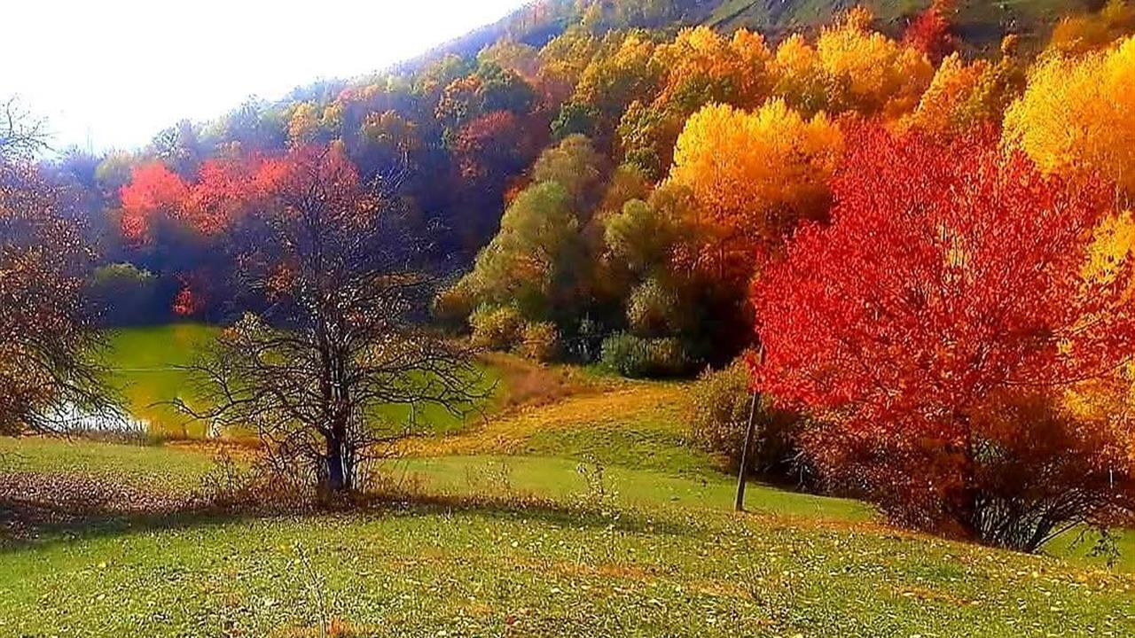 Posof Ardahan'da Sonbahar Mevsiminde Doğanın Renk Cümbüşü