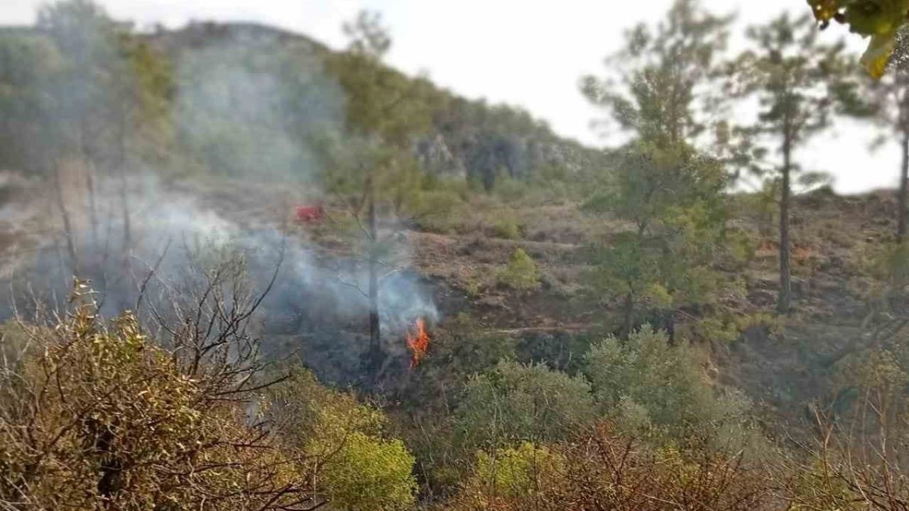 Gülnar’da Bahçe Temizliği Ölümle Bitti: Yaşlı Adam Alevler Arasında Can Verdi!