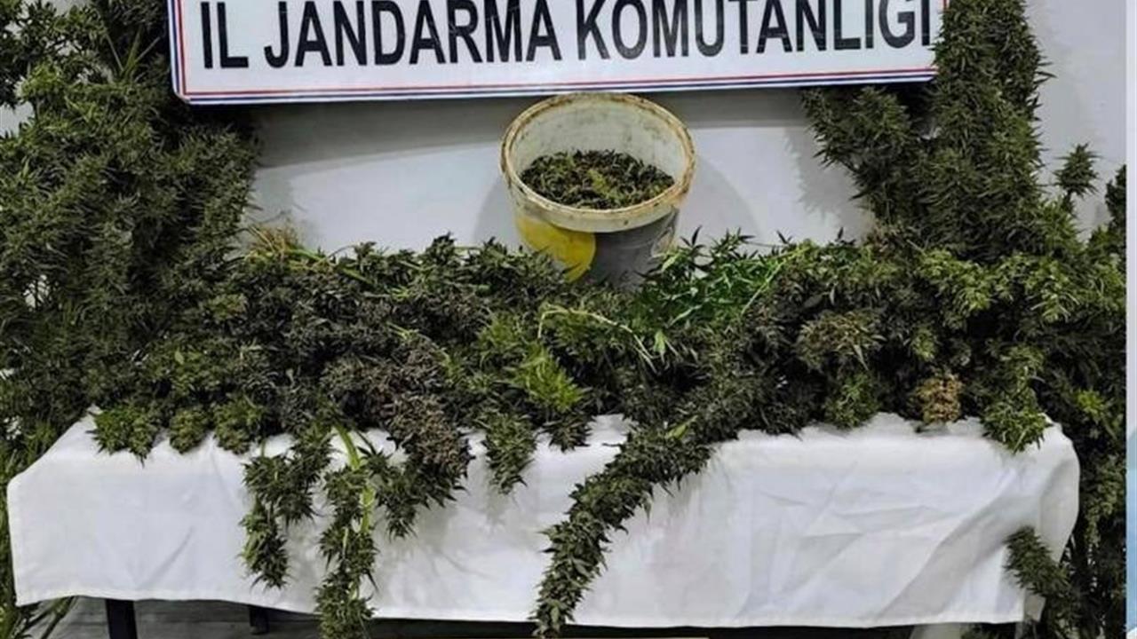 Mardin Artuklu'da Uyuşturucu Operasyonu Sonrası 3 Kişi Tutuklandı