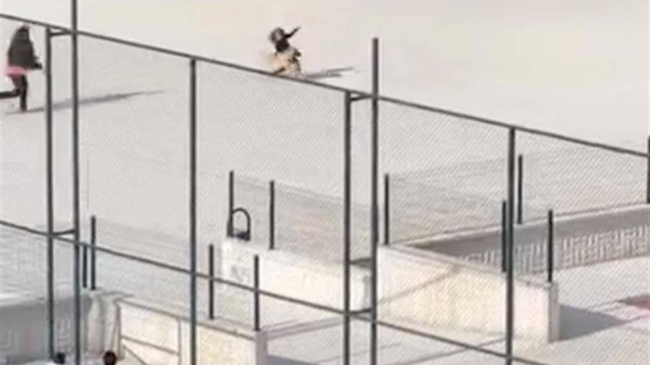 Çorum Merkez'deki Kocatepe İlkokulu'nda Teneffüste Köpek Panik Yarattı