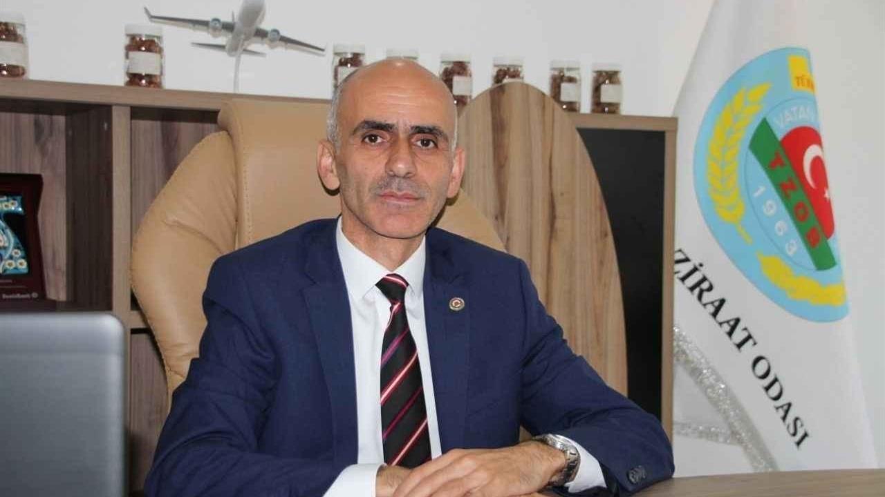 Giresun Merkez'de Ziraat Odası Başkanı, TMO'ya Fındık Fiyatı Güncellemesi İçin Çağrıda Bulundu