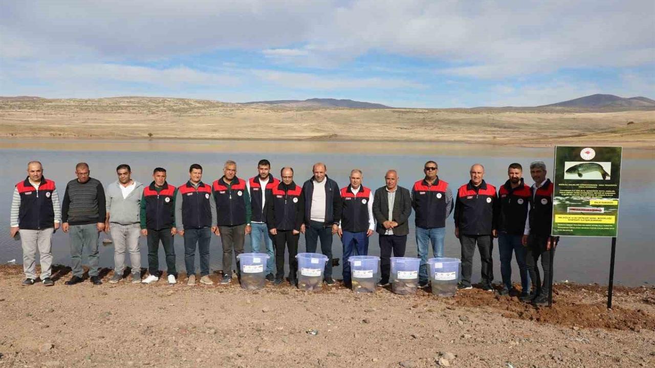 Elazığ'da Su Kaynaklarını Balıklandırma Projesi Kapsamında 11 Bin 800 Sazan Yavrusu Bırakıldı