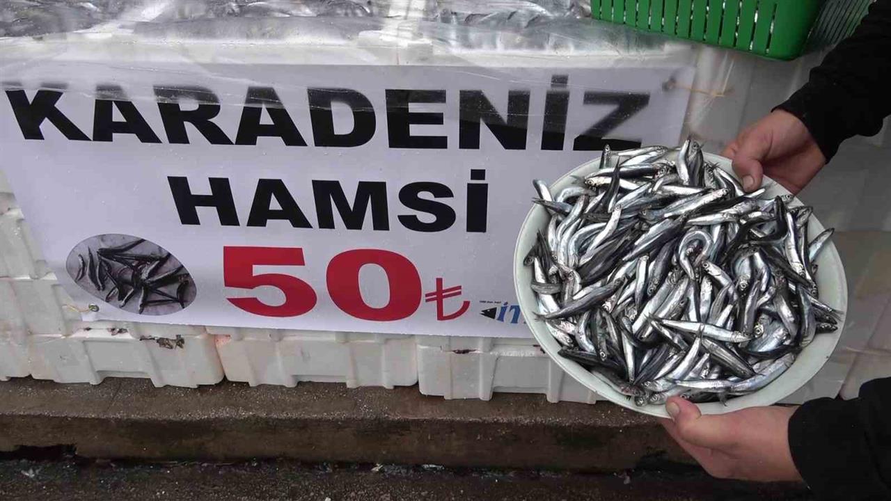 Amasya'da Hamsi Fiyatı 50 TL'ye Düşünce Vatandaşlar Alışverişe Yöneldi