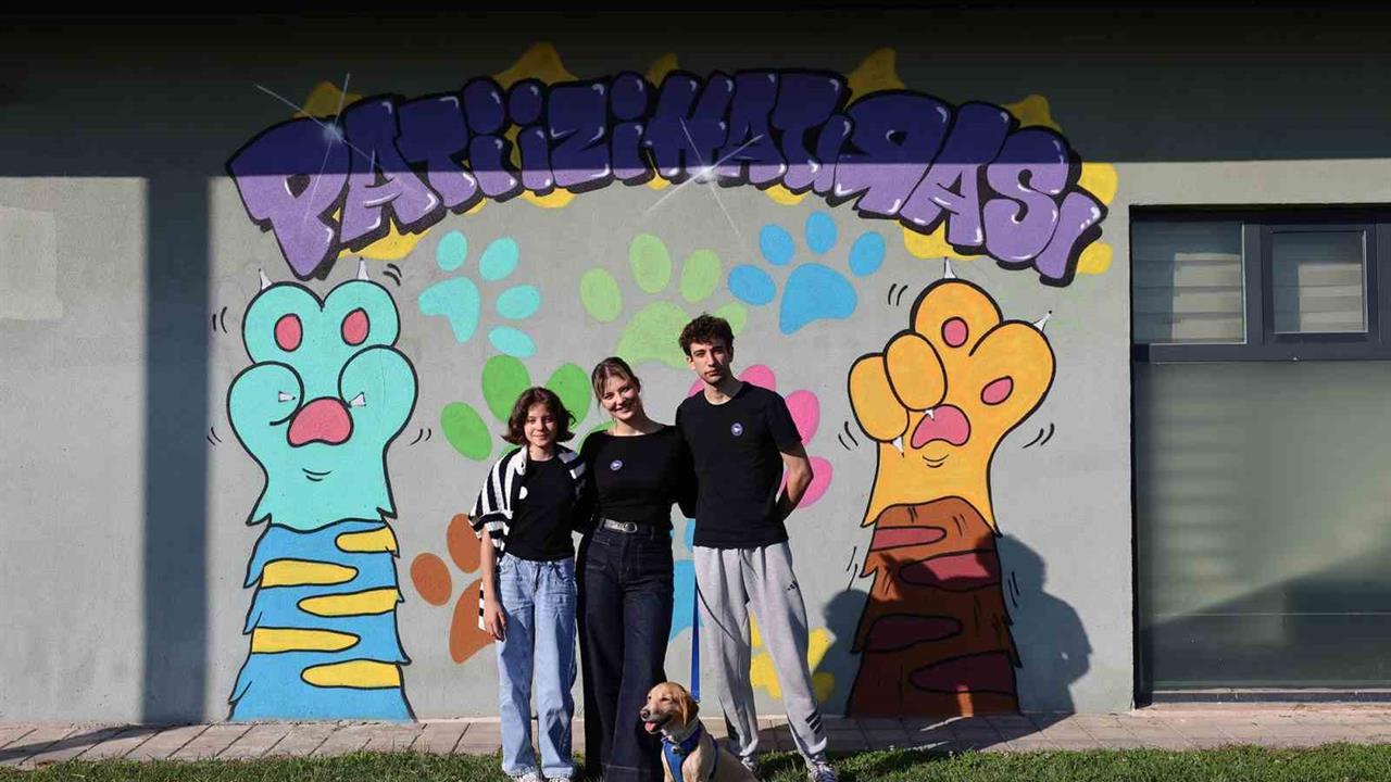 Sakarya'da Pati İzi Projesi Kapsamında 500 Can Dost Yeni Yuva Buldu