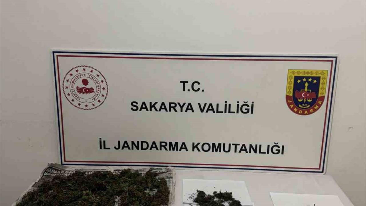 Sakarya Söğütlü'de Düzenlenen Uyuşturucu Operasyonunda 1 Kişi Tutuklandı