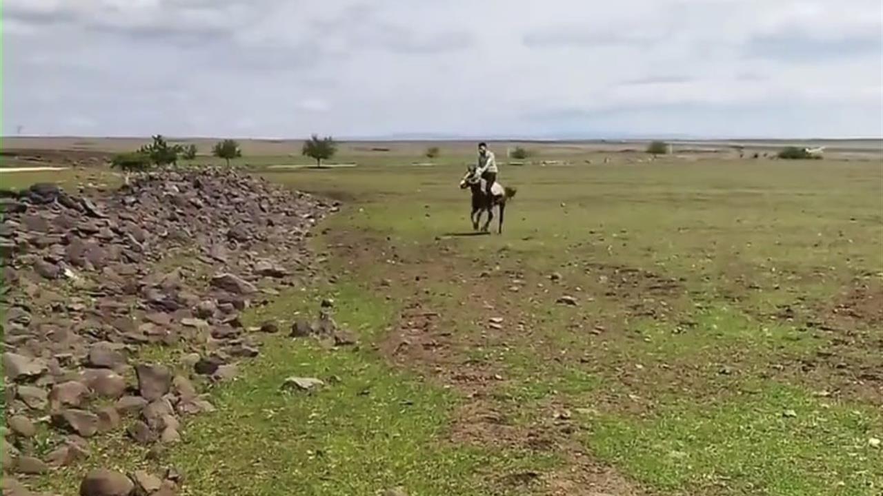 Şanlıurfa Siverek'te İki Farklı Olay Kameralara Yansıdı