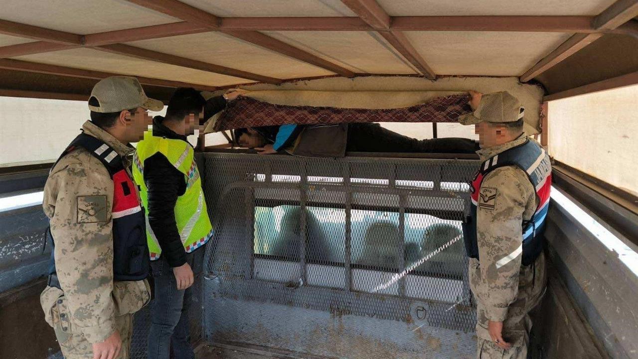 Erzurum'da Jandarma Ekipleri 28 Düzensiz Göçmen Yakaladı