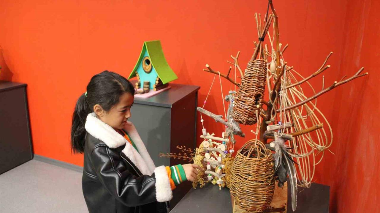 Kayseri'de Abdülkadir Dağlı'nın Doğadan Topladığı Ahşaplarla Yaptığı Kuş Evleri Sergilendi