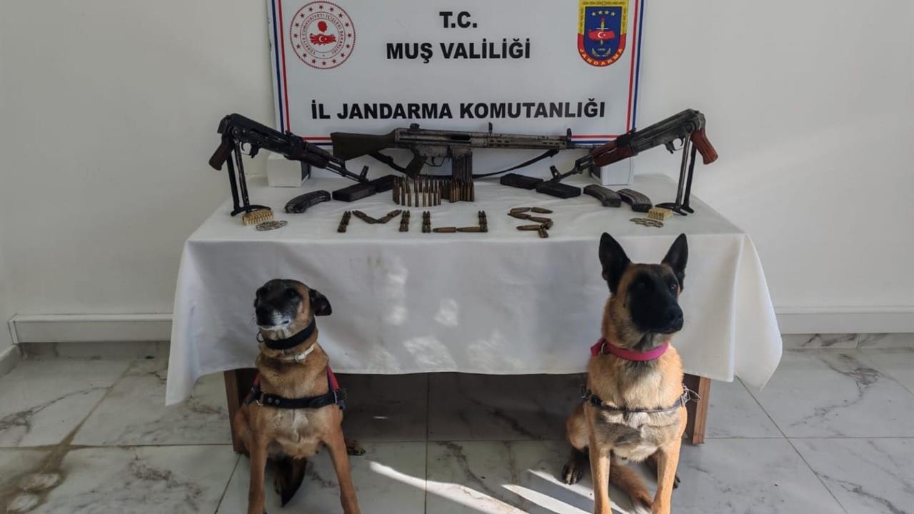 Muş Merkez'de Yapılan Operasyonda 3 Ruhsatsız Silah Bulundu