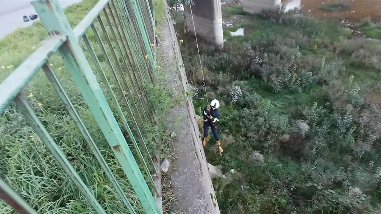 Karabük'te Filyos Çayı'na Düşen Yavru Kedi İtfaiye Ekipleri Tarafından Kurtarıldı