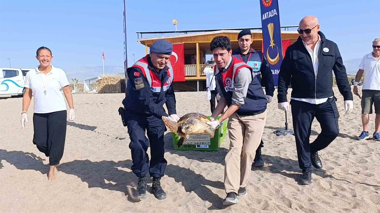 Antalya Kundu'da Tedavi Edilen Caretta Caretta Denizle Buluştu