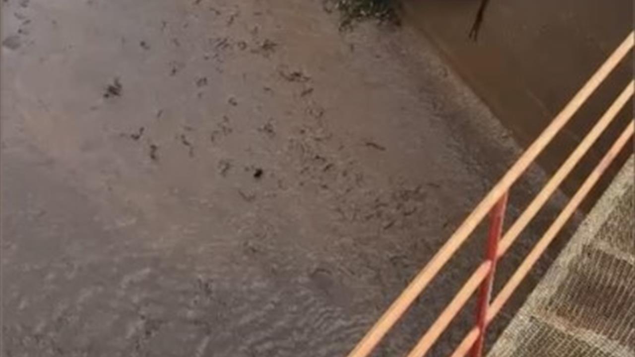 Osmaniye Bahçe'de Baraj Kapaklarının Açılmasıyla Yüzlerce Balık Telef Oldu