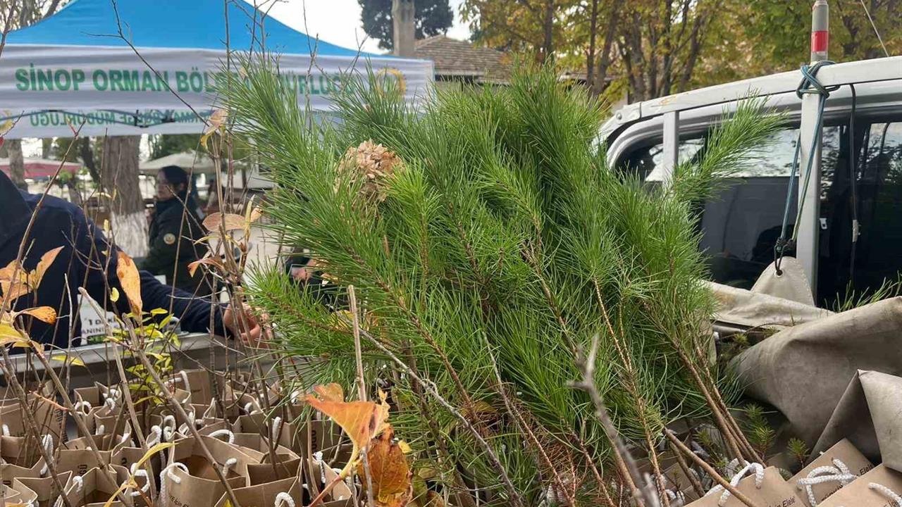 Sinop Merkez'de Fidan Dağıtımı Etkinliği Gerçekleştirildi