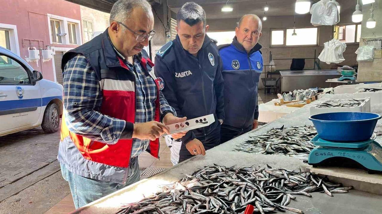 Kütahya Emet'te Su Ürünlerine Yönelik Denetim Gerçekleştirildi