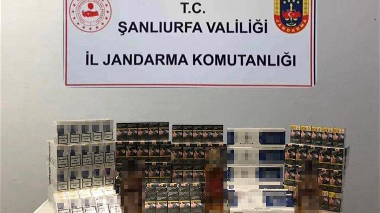 Şanlıurfa Haliliye'de Jandarma Tarafından 5 Bin 210 Paket Kaçak Sigara Ele Geçirildi