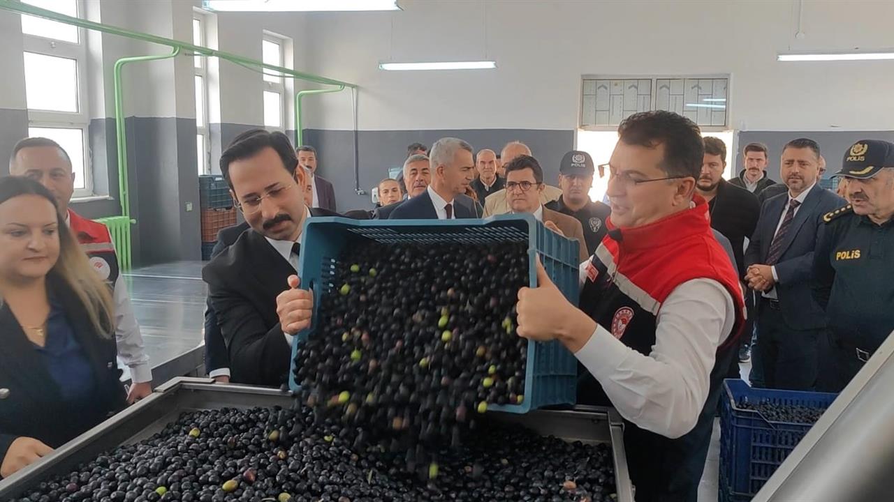 Şarköy'de Zeytin Hasadı İçin Etkinlik Gerçekleştirildi