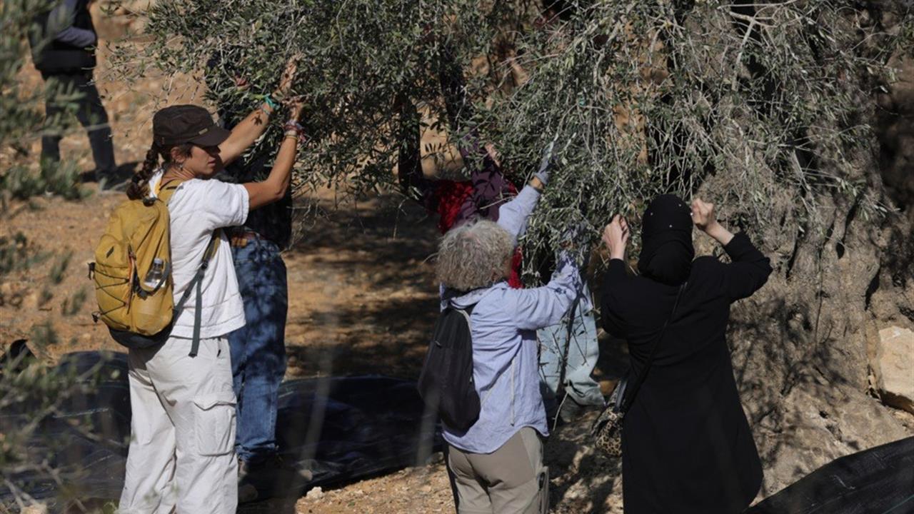 Ramallah'ta Ekim Ayında 2 Bin 350 Saldırı Gerçekleşti