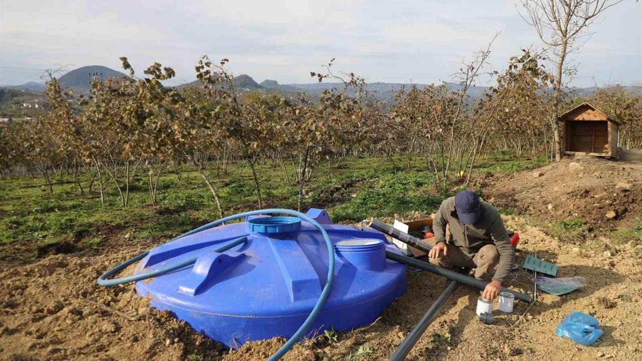 Ordu'da Fındık Bahçelerinde Uygulanan Damlama Sistemiyle Verim Artışı Hedefleniyor