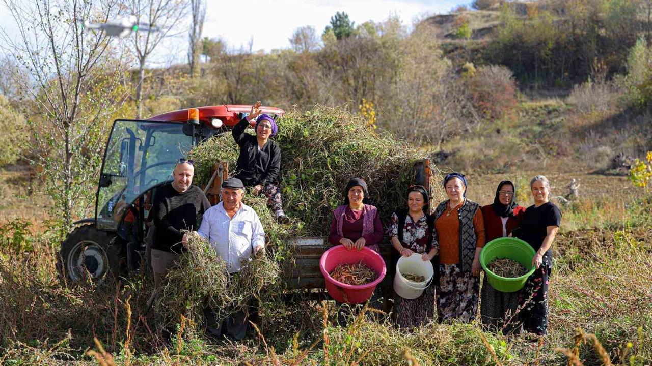 Samsun'da Üreticiden İhtiyaç Sahiplerine Ücretsiz Yardım Ulaştırıldı