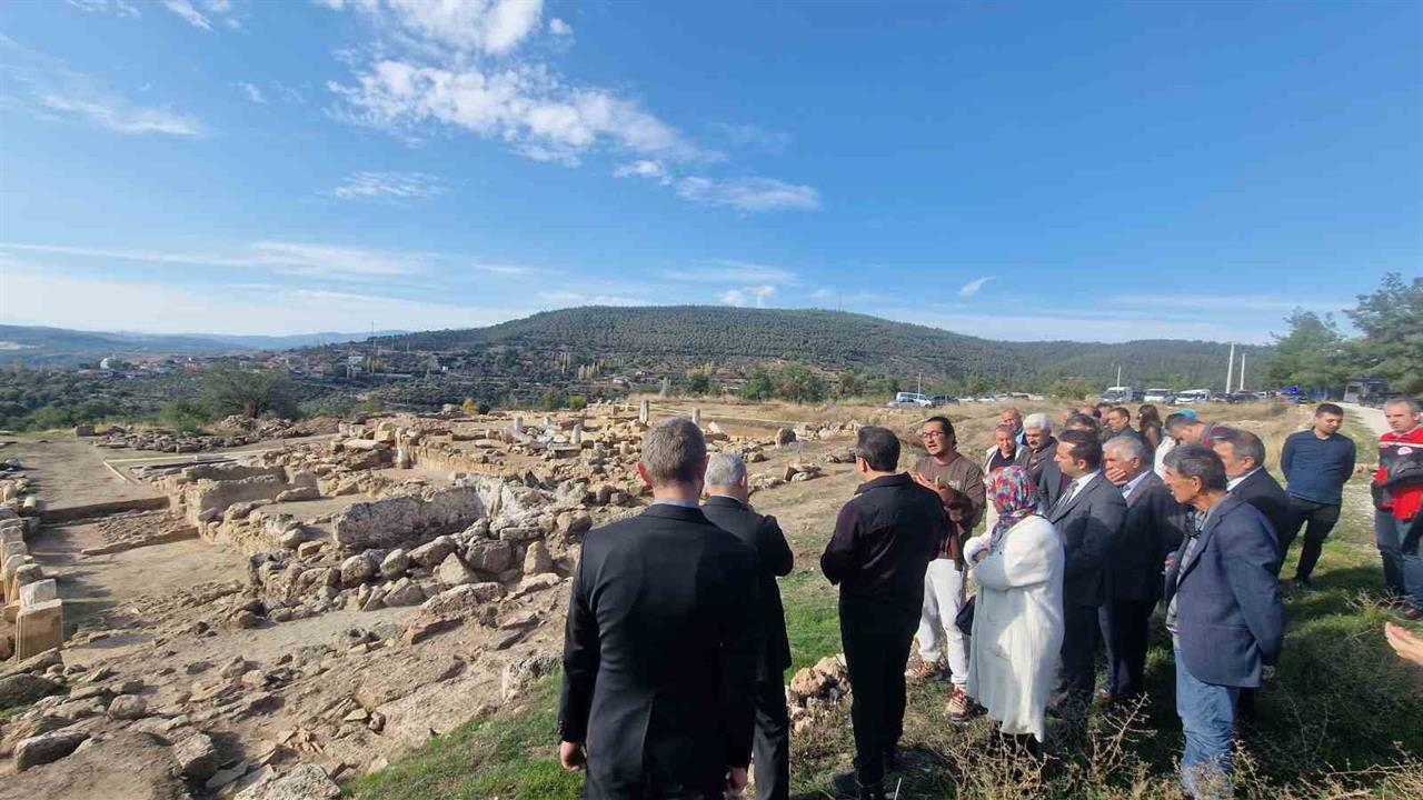 Muğla Kavaklıdere'de 4 Bin Yıllık Antik Kentte Zeytin Hasadı Yapıldı
