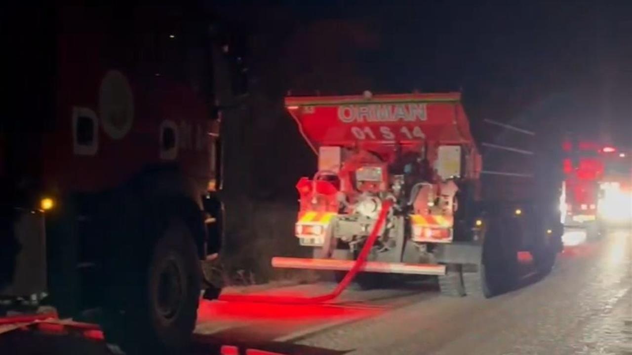 Adana Çukurova'da Gece Saatlerinde Çıkan Orman Yangını Söz Konusu