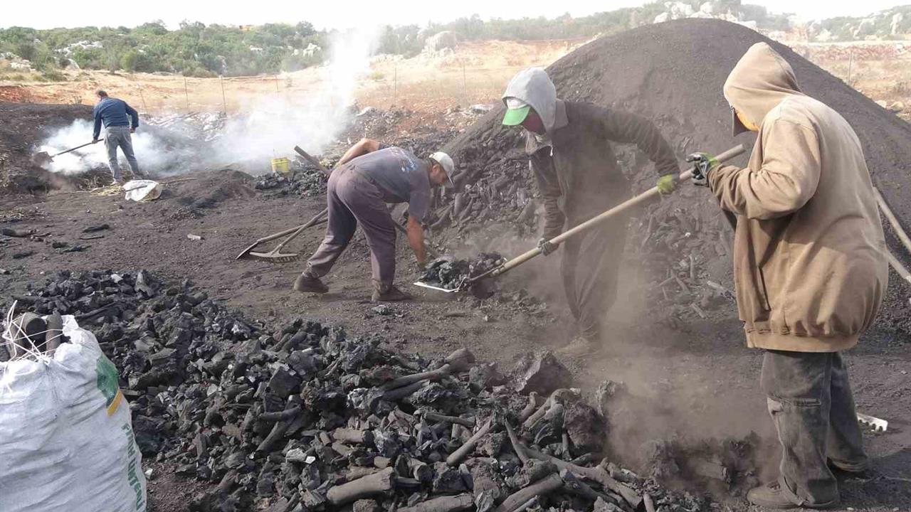 Mersin Silifke'de Aileler, Toros Dağlarında Kömür Üretiyor