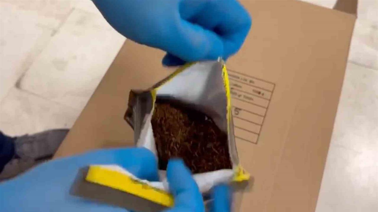 Eskişehir'de Durdurulan Tırda 7 Milyon TL'lik Sahte Tütün Ürünleri Bulundu