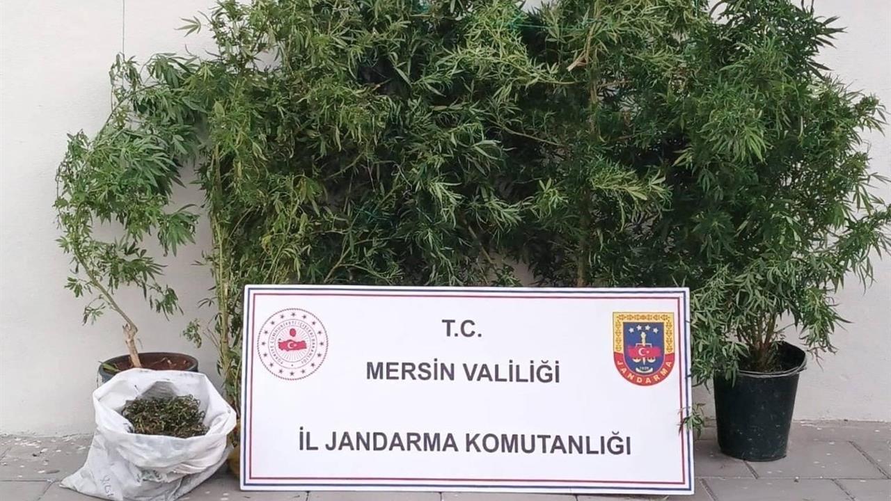 Mersin Erdemli'de Uyuşturucu Üreten Şüpheli Yakalandı