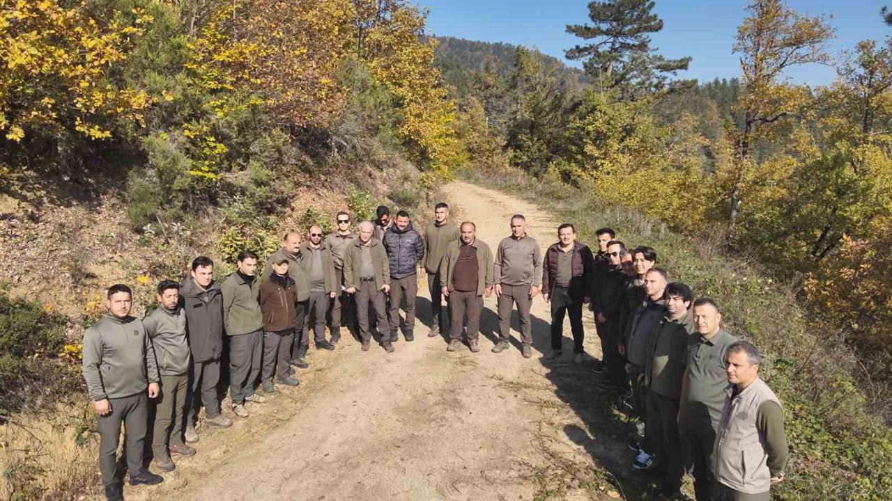Zonguldak'ta Yaban Hayatı Envanteri 2025 Yılı İçin Tamamlandı