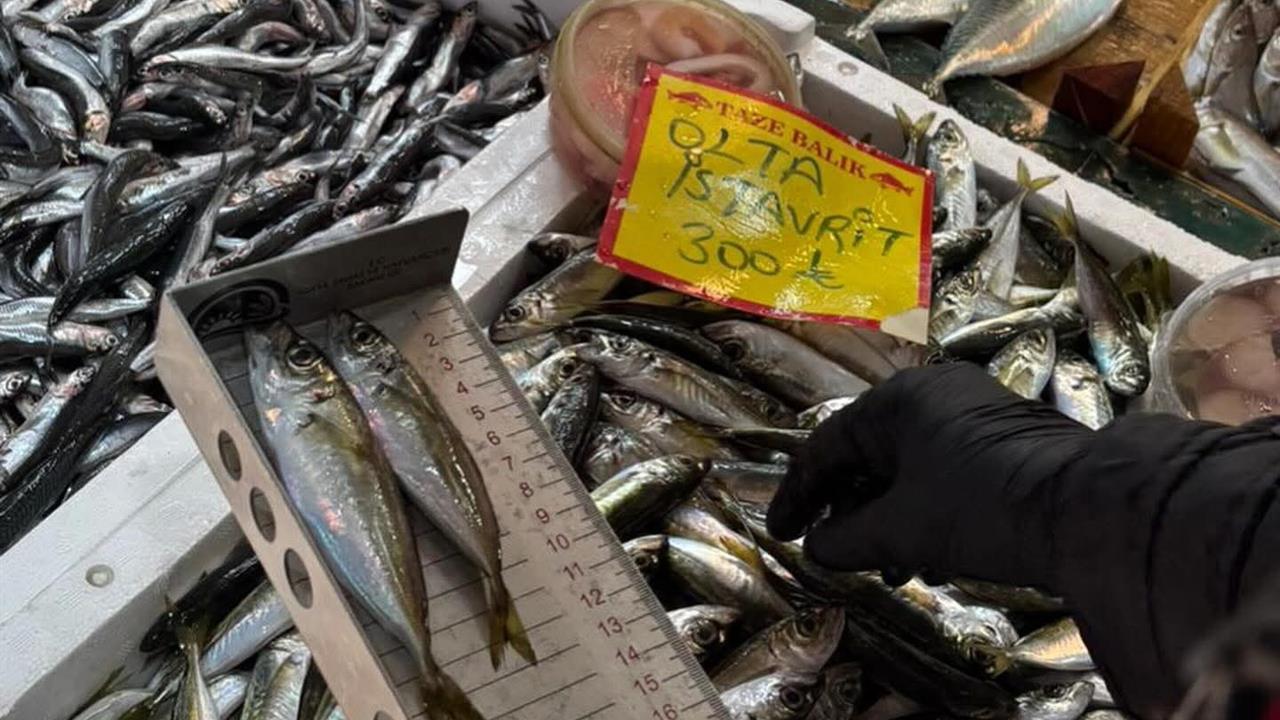 Tekirdağ'da Perakende Balık Satış Yerlerinde Sıkı Denetim Gerçekleştirildi