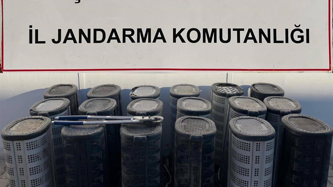 Şanlıurfa Suruç’ta Hırsızlık Yapan 3 Kişi Suçüstü Yakalandı