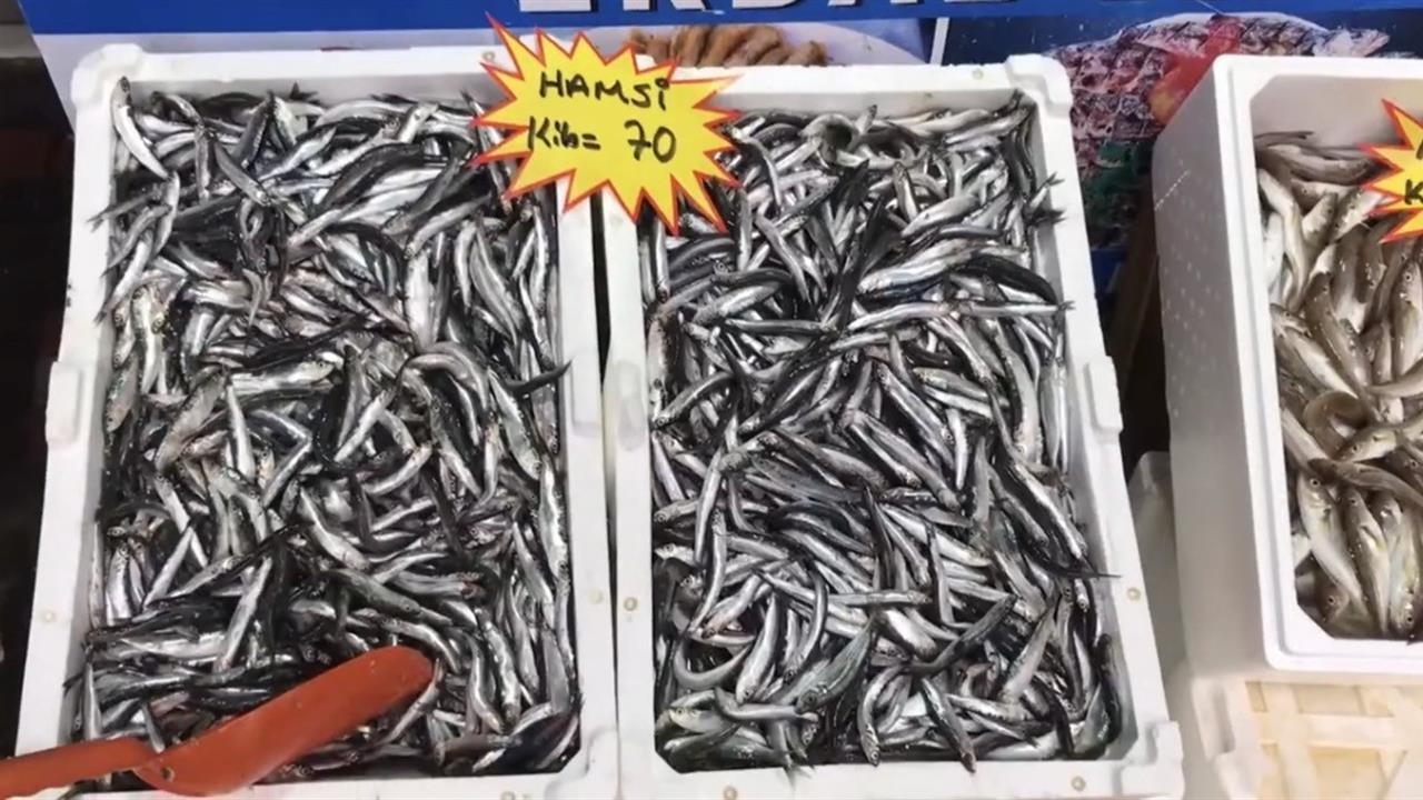 Akçakoca'da Tüketicilere Buzhane Balığı Kullanımına Dikkat Edin Uyarısı