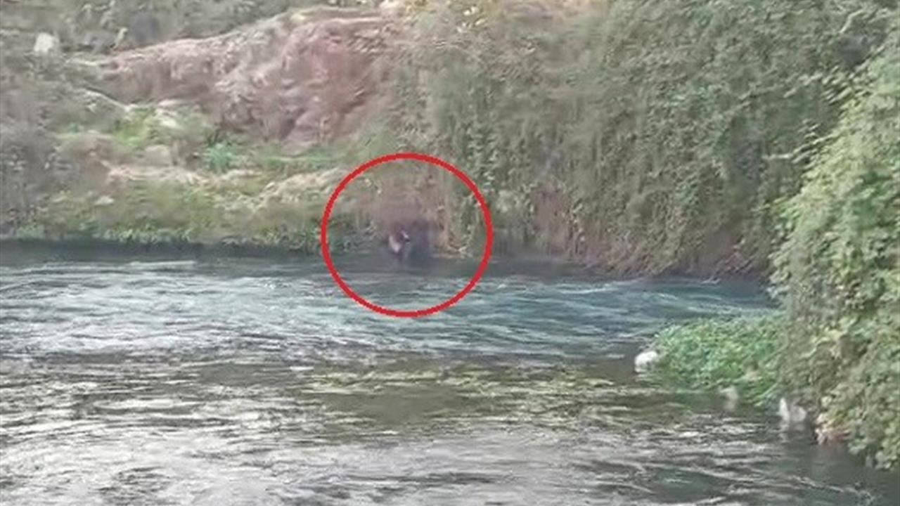 Antalya Kepez'de Düden Çayı'na Düşen Şahıs İtfaiye ve AFAD Ekipleri Tarafından Kurtarıldı