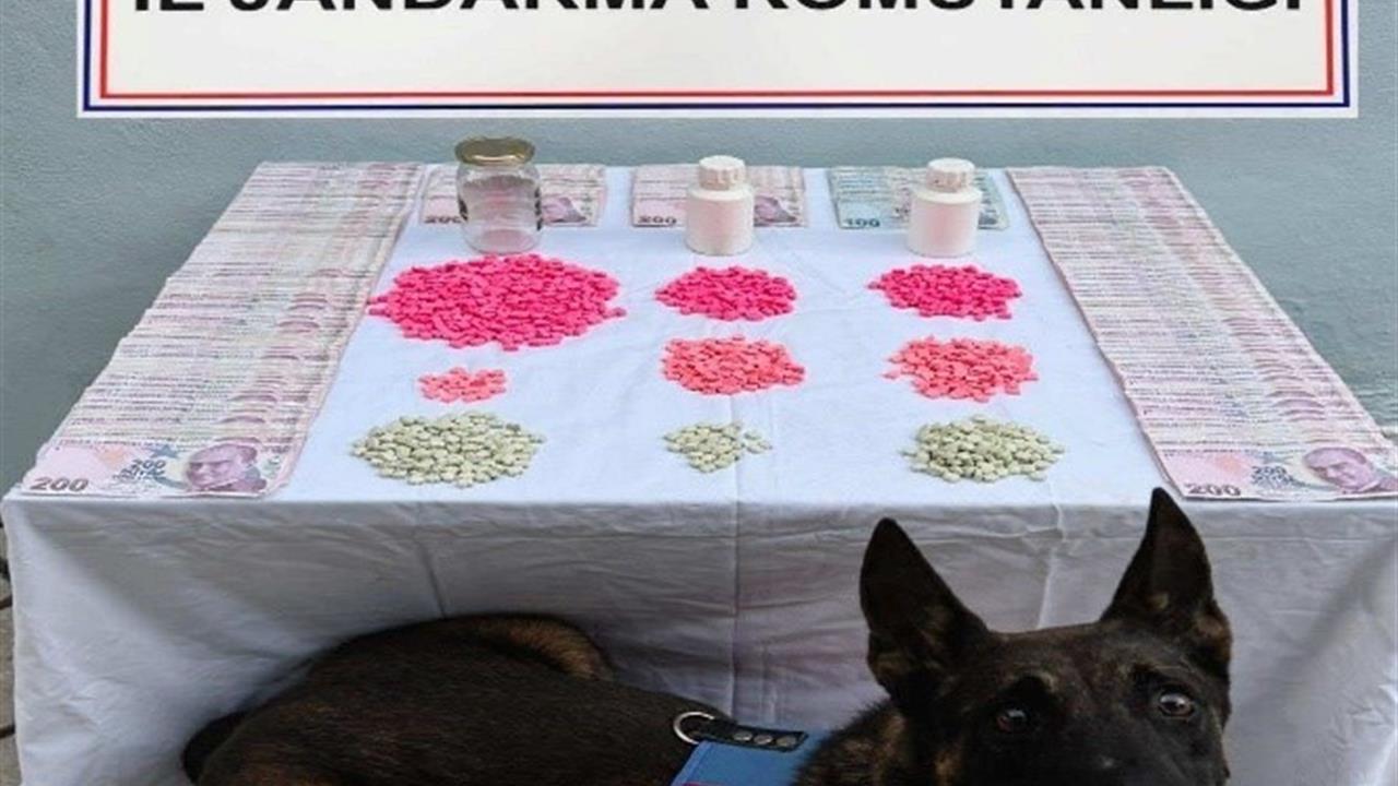 Denizli Pamukkale'de Yapılan Operasyonda 2 Bin Adet Hap Ve 60 Bin TL Ele Geçirildi