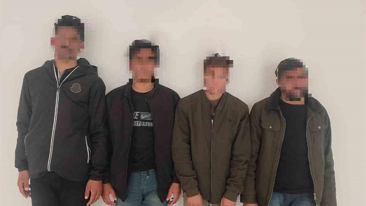 Siirt'te Sahte Pasaportlu 4 Düzensiz Göçmen Durduruldu