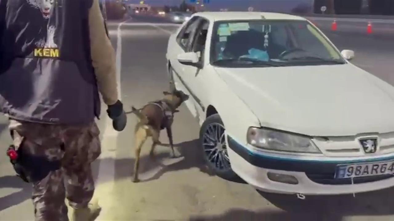 Erzurum'da Narkotik Köpeği Magnum ile Yapılan Operasyonda 8 Kilo Uyuşturucu Ele Geçirildi
