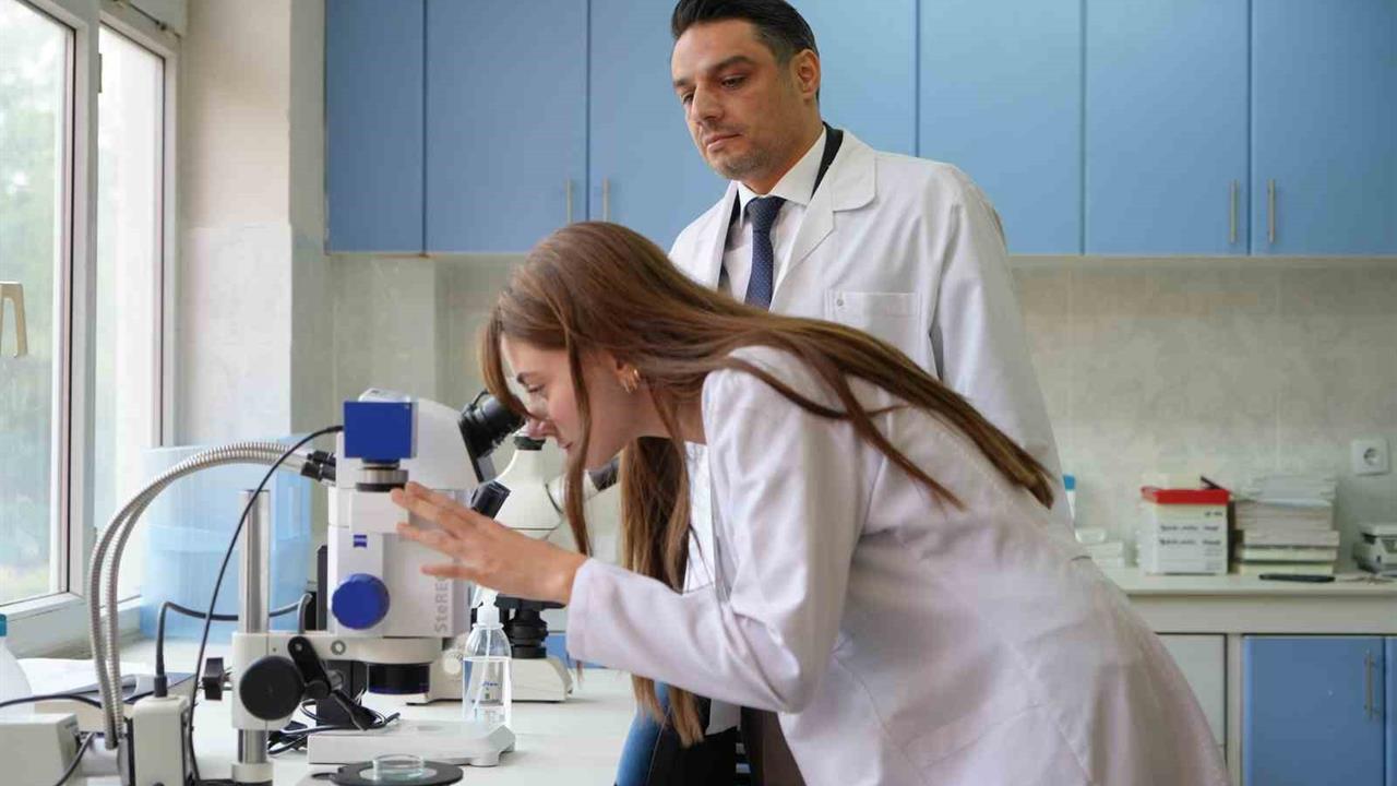 Gaziantep'te Sinek İstilasının Artışı Yaşamı Olumsuz Etkiliyor