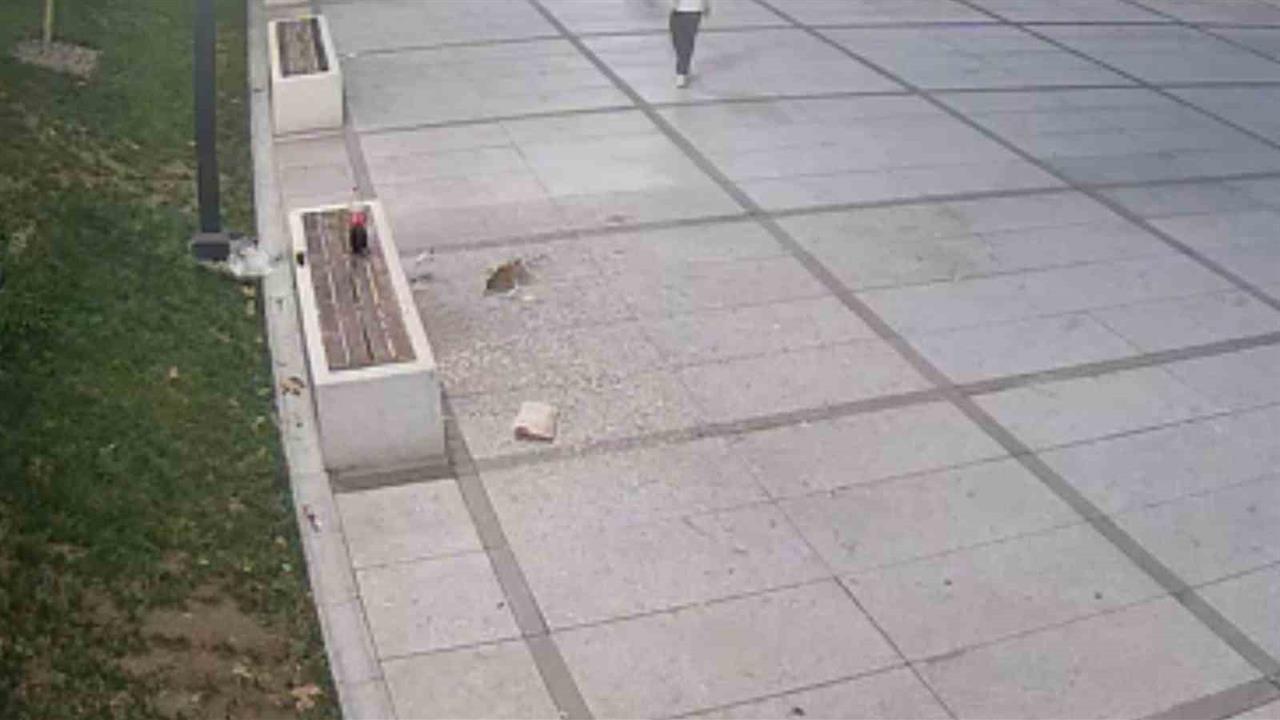 Bursa Merkez'de Çekirdek Yiyen Gençlere Ceza Verildi