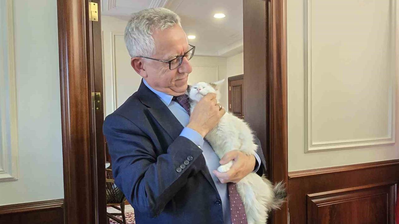 Yozgat'ta Başkan Arslan, Hayvan Dostu Projeleriyle Öne Çıkıyor