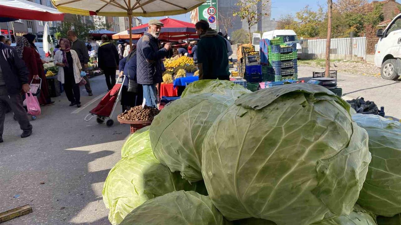 Eskişehir'de Pazar Tezgahlarında 11 Kiloluk Lahanalar Satılıyor