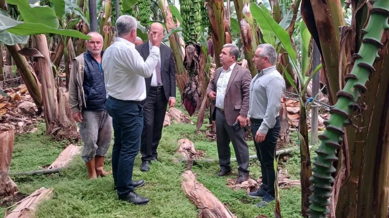 Başkan Çetinkaya, Hortum ve Fırtınadan Zarar Gören Sera ve Tarrım Alanlarında İncelemelerde Bulundu