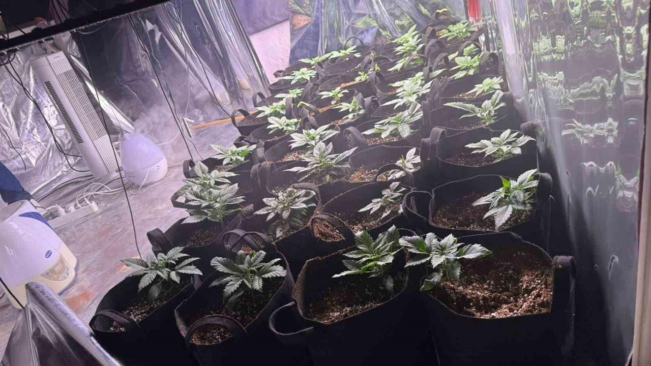 İzmir Konak'ta Uyuşturucu Operasyonunda 1 Kişi Tutuklandı