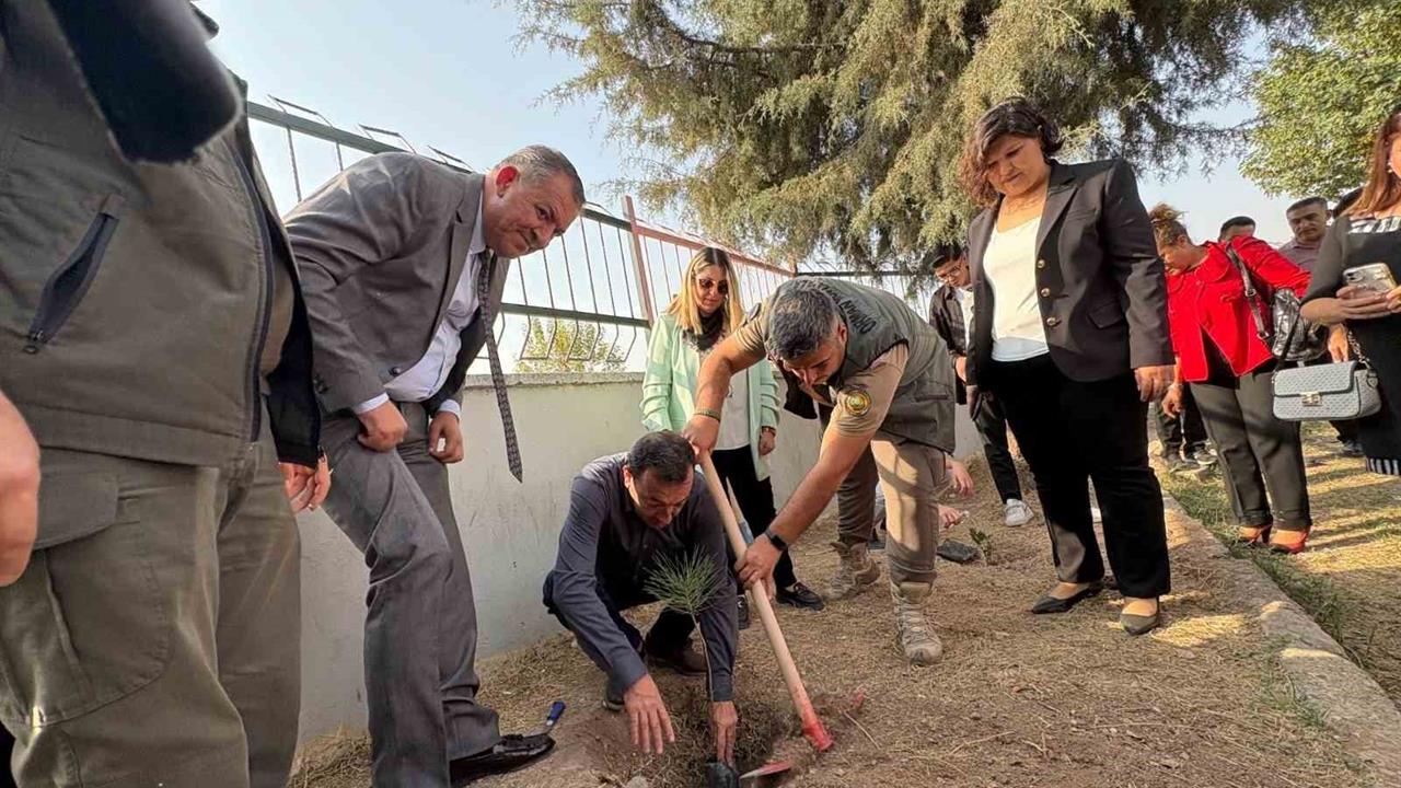 Mersin Toroslar'da Fidan Dikimi Etkinliği Gerçekleşti