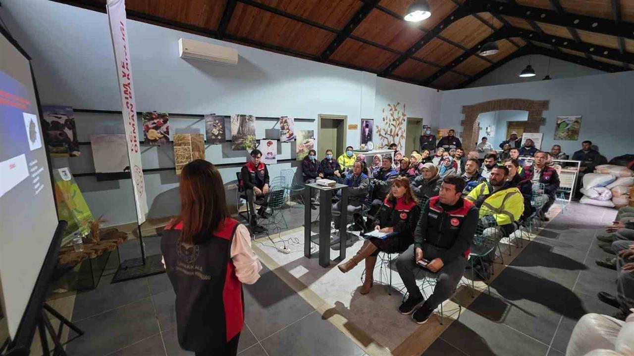 Çanakkale'de Kahverengi Kokarca ile Mücadele İçin 4 Bin Samuray Arısı Salınıyor