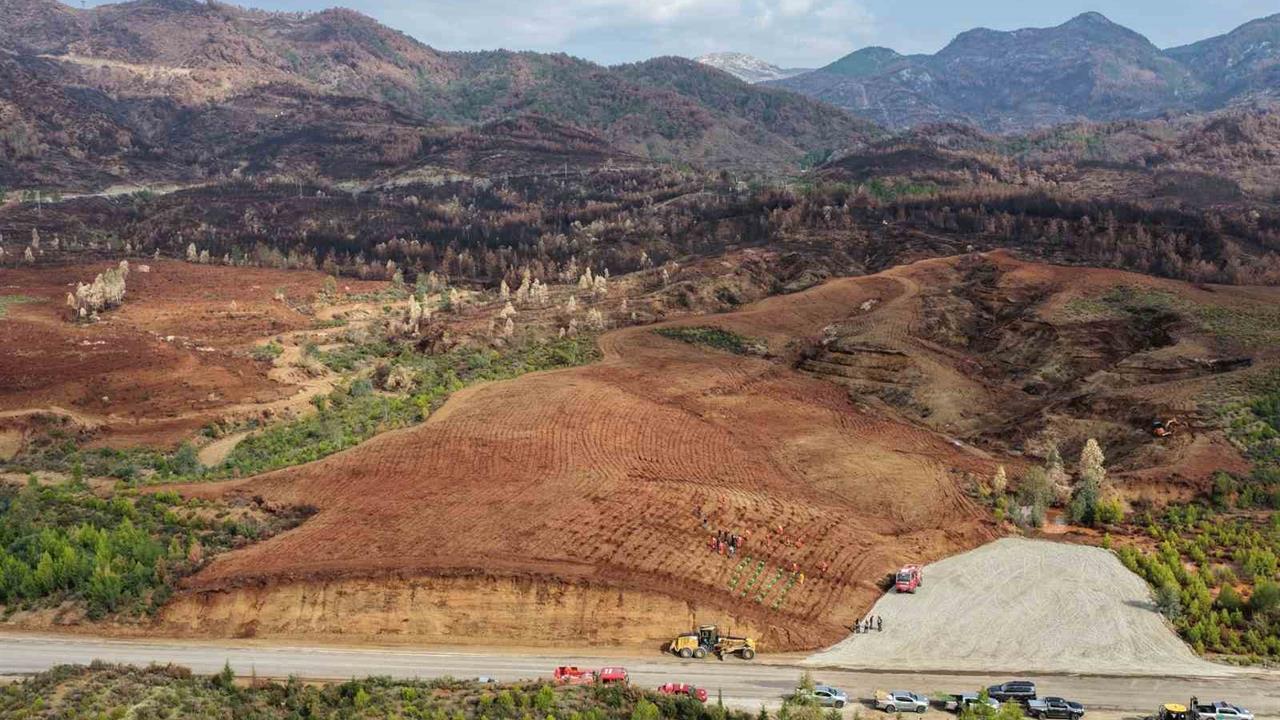 Aydın'da 17 Lokasyonda Fidan Dikim Etkinliği Gerçekleştirilecek